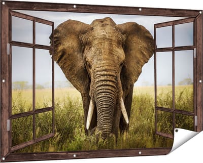 Gards Tuinposter Doorkijk Olifant in het Wild - Kleur - 150x100 cm - Tuindoek - Tuindecoratie - Wanddecoratie buiten - Tuinschilderij
