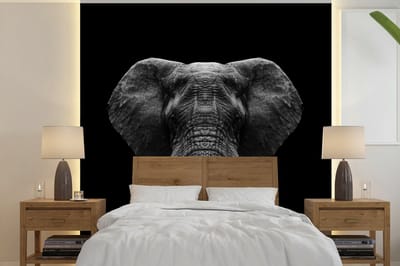 Behang - Fotobehang Dieren - Olifant - Portret - Zwart - Wit - Breedte 220 cm x hoogte 220 cm