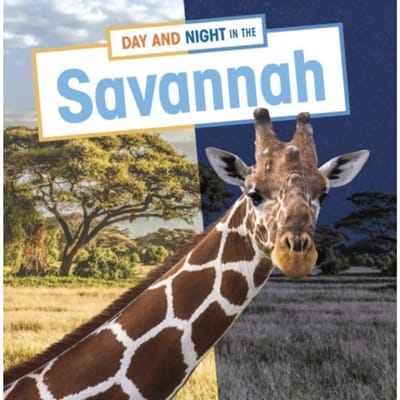 Day And Night In The Savannah - Habitat Days And Nights - Mary Boone