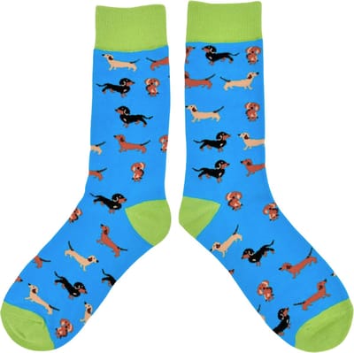 Tutti Footi - Grappige Sokken met een Teckels - Honden sokken blauw/groen maat 37-42