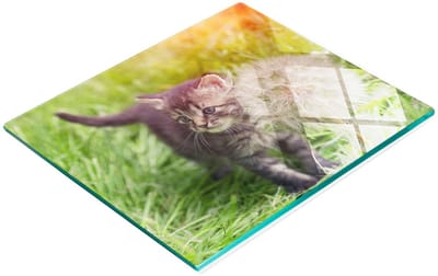 Glazen serveerplank met katten- en paardenbloemmotief, 60x52 cm