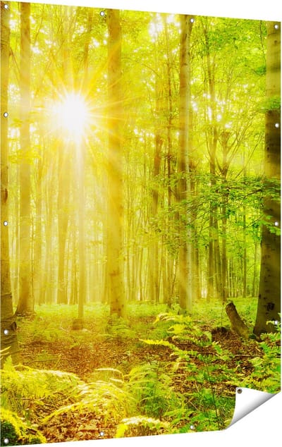 Gards Tuinposter Groen Bos met Schijnende Zonnestralen - 120x160 cm - Tuindoek - Tuindecoratie - Wanddecoratie buiten - Tuinschilderij