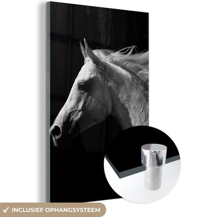 MuchoWow® Glasschilderij 120x180 cm - Schilderij acrylglas - Paarden - Boerderijdier - Manen - Foto op glas - Schilderijen