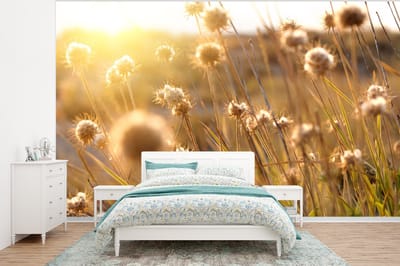 Behang - Fotobehang Planten - Natuur - Bloemen - Zon - Horizon - Breedte 320 cm x hoogte 240 cm