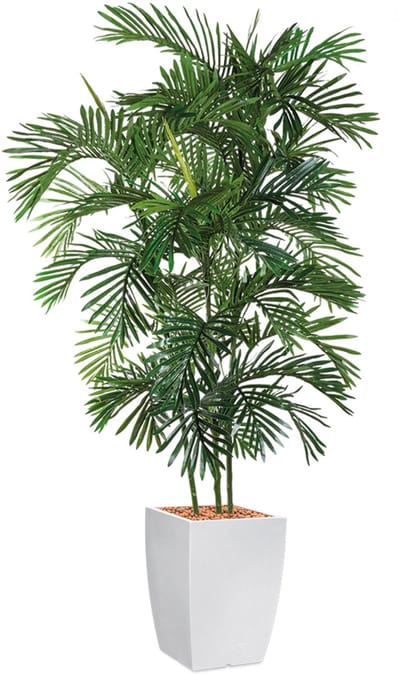 Kunstplant Areca palm in Genesis vierkant wit H190 cm
