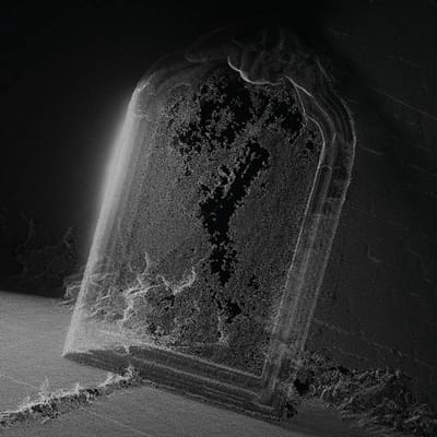 Visible Cloaks - Paradessence (LP)