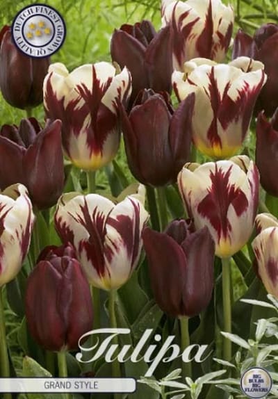 Grand Style (Nieuw) Garden Tulpenbollen 10 stuks bolmaat 12+