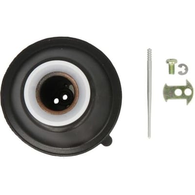 Carburateur INPARTS IP000528