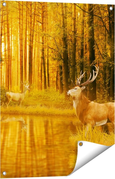 Gards Tuinposter Twee Herten in het Bos bij het Water - 60x80 cm - Tuindoek - Tuindecoratie - Wanddecoratie buiten - Tuinschilderij