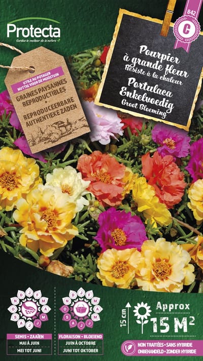 Protecta Bloemen zaden: Portulaca Grootbloemig gemengd