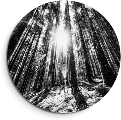 KitchenArt - Whispering Pines - Muurcirkel Binnen - ø 40 cm - Wandcirkel - Mét Ophangsysteem - Wanddecoratie - Muurdecoratie