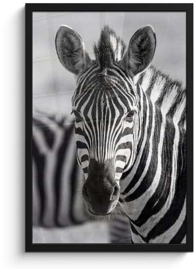 Poster in lijst - Fotolijst 40x60 cm - Posters - Zebra's - Zwart - Wit - Posterlijst zwart - Decoratie - Wanddecoratie woonkamer - Muurdecoratie slaapkamer