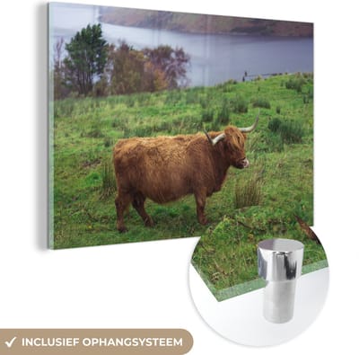 MuchoWow® Glasschilderij 150x100 cm - Schilderij acrylglas - Schotse Hooglander - Gras - Water -Dieren - Foto op glas - Schilderijen