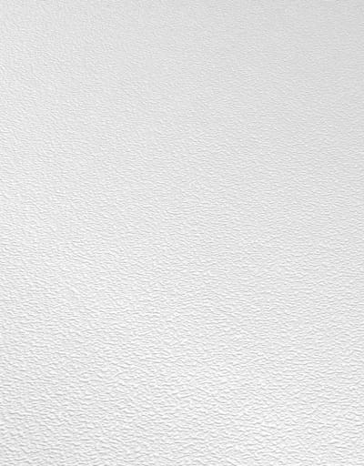 Erismann Vinylbehang 535910 - RollOver27 - Overschilderbaar Wit - 53cm x 10.05m