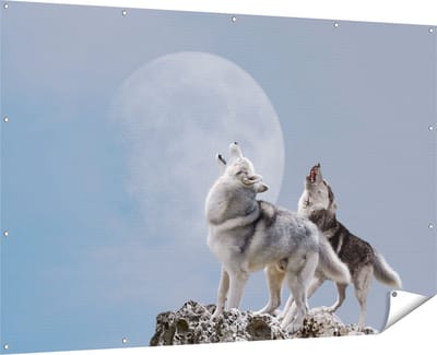 Gards Tuinposter Twee Wolven Die Huilen tijdens Volle Maan - 180x120 cm - Tuindoek - Tuindecoratie - Wanddecoratie buiten - Tuinschilderij