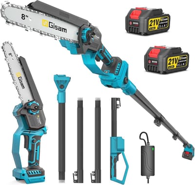 Mini-kettingzaag met telescoopstang - 2-in-1 voor snoeien en zagen
