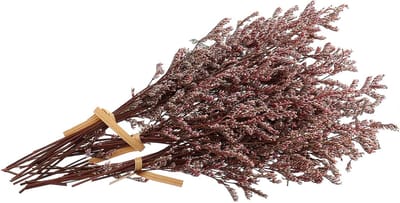 Gedroogde Gypsophila Takken - Boeket Bloemen - Huis Decoratie - Natuurlijke Uitstraling - 18 cm - Rood