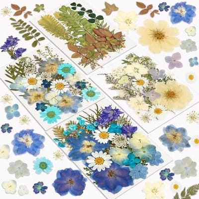 100 stuks gedroogde bloemen en bladeren voor DIY crafts, scrapbooken en kaarsen maken