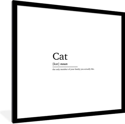 Fotolijst incl. Poster - Spreuken - Quotes - Woordenboek - Kat definitie - Cat - 40x40 cm - Posterlijst