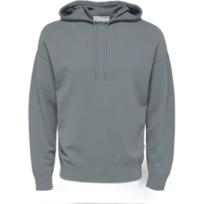 Hooded sweatshirt Selected Slhteller