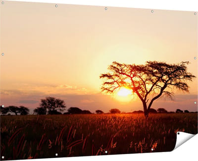 Gards Tuinposter Zonsondergang Achter een Acacia Boom - 180x120 cm - Tuindoek - Tuindecoratie - Wanddecoratie buiten - Tuinschilderij
