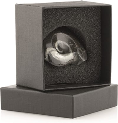 Giftdoosje Goniatiet