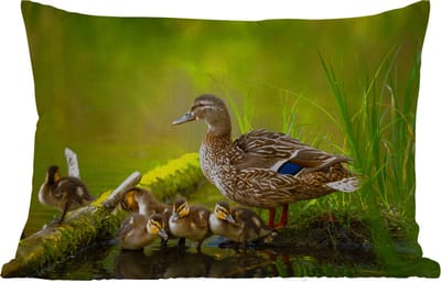 Buitenkussens - Tuin - Eend - Vogels - Water - Tak - Mos - 50x30 cm