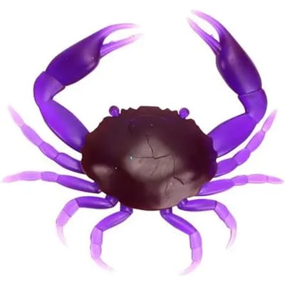 Lok Ragot Crab