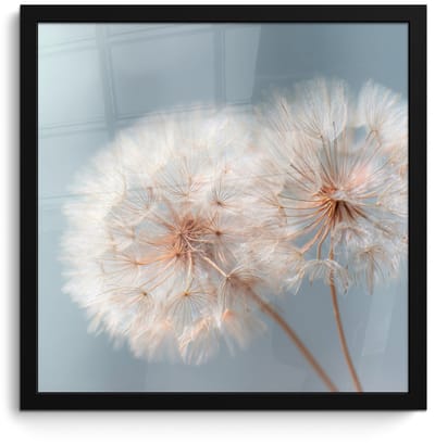 Poster in lijst - Fotolijst 40x40 cm - Posters - Paardenbloemen - Pluisjes - Wit - Posterlijst zwart - Decoratie - Wanddecoratie woonkamer - Muurdecoratie slaapkamer