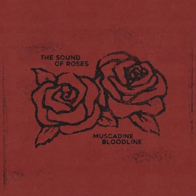 The Sound of Roses