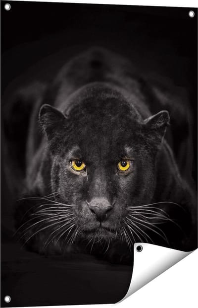 Gards Tuinposter Zwarte Panter met Oranje Ogen - 60x80 cm - Tuindoek - Tuindecoratie - Wanddecoratie buiten - Tuinschilderij