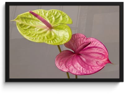 Poster in lijst - Fotolijst 60x40 cm - Posters - Planten - Anthurium - Groen - Roze - Posterlijst zwart - Decoratie - Wanddecoratie woonkamer - Muurdecoratie slaapkamer