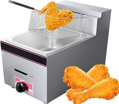 Grote Frituurpan - Professionele Fritteuse - Thuis Frituren - Instelbare Temperatuur - 10L Roestvrij Staal - Zilver