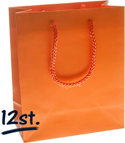 12st stevige draagtassen papier (16x19)+8cm | cadeautasje | zak | gift bag | verpakking | gedraaid koord greep