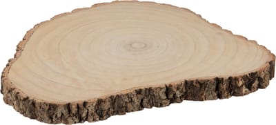 J-Line boomschors Onregelmatig Paulownia - schors - hout - naturel - large