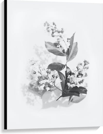 Canvas  - Zwart Wit Foto van bloemen  - 75x100cm Foto op Canvas Schilderij (Wanddecoratie op Canvas)