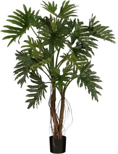 Philodendron in pot green - h140xd110cm