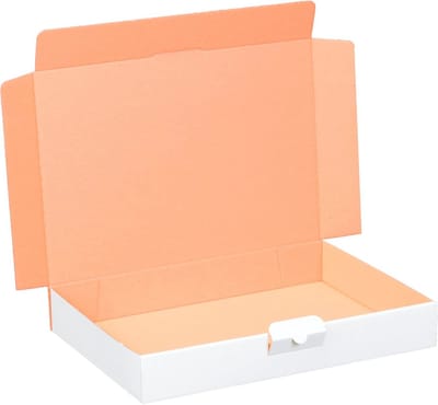 Maxi Postdozen Set - Verzenddozen voor Goede en Boeken Zendingen (100 Stuks, Wit)