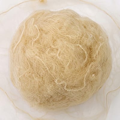 100 stuks beige haarnetjes – elastische fijne haarnetten voor keuken, kapsalon, catering en professioneel gebruik
