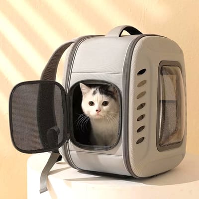 Hond zak, Hond rugtas, rug tas, zak, honden draagzak, Zak voor honden en katten, honden draagtassen, halsband, hond draagtas.