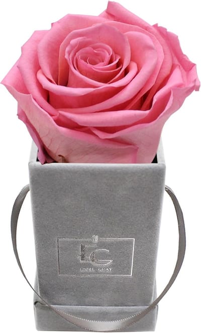 Eeuwig Rozen in Luxe Vierkante Fluweel Doos, Rozen Box met Lange Houdbaarheid