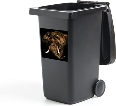 Container sticker Olifant - Bruin - Tanden - 40x40 cm - Kliko sticker