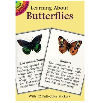 Learning About Butterflies - Jan Sovak