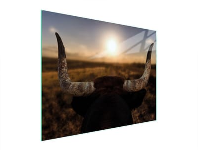 TMK ArtDeko - Snijplank - Glas - 52x40 cm - Zon