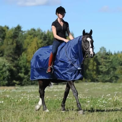 Outdoor paardendeken Bucas Rain Protector