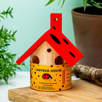 Kikkerland Lieveheersbeestjes Huisje