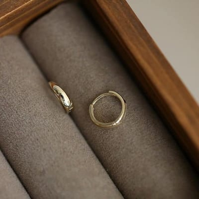 925 Sterling Zilver Franse Eenvoudige Glanzende Oorbellen Vrouwen Rock Hip Hop Lichte Luxe Vergulding 14k Gouden Sieraden Cadeau zilver