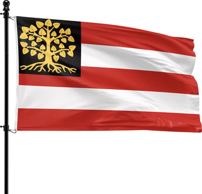 VlagDirect - s-Hertogenbosch vlag - Gemeente 's-Hertogenbosch vlag - 90 x 150 cm.