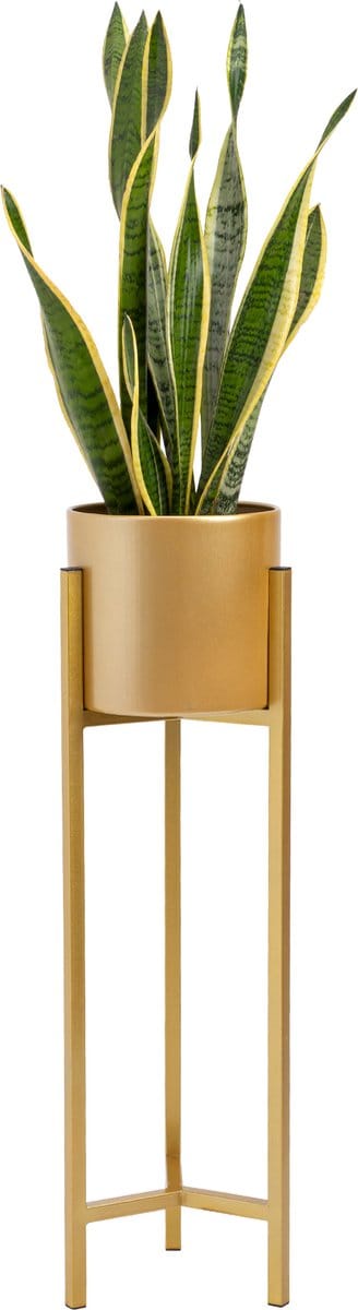 QUVIO Plantenstandaard binnen – Plantensteunen metaal – Plantenstandaard – Plantensteun – Bloempothouder – Plantenstandaard metaal – Binnen – Plantenrekken – Plantenhouders -22x22x75 cm – Metaal – Goud - M