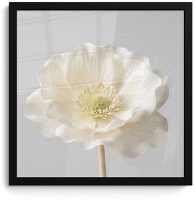 Poster in lijst - Fotolijst 40x40 cm - Posters - Bloem - Minimalistisch -Wit - Posterlijst zwart - Decoratie - Wanddecoratie woonkamer - Muurdecoratie slaapkamer